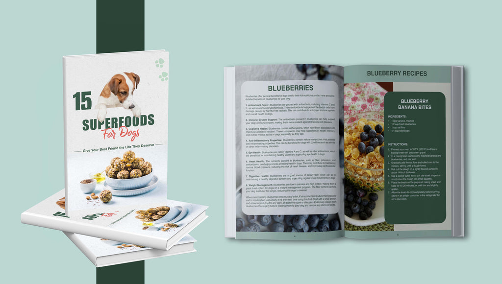 15 Superfoods For Dogs
